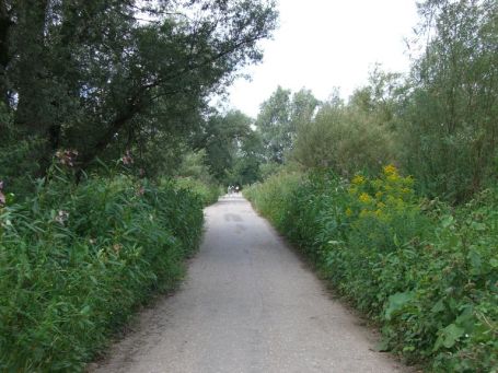 Kekerdom : Millingerwaard, dieser Wanderweg führt in Richtung Waal und Millinger Theetuin